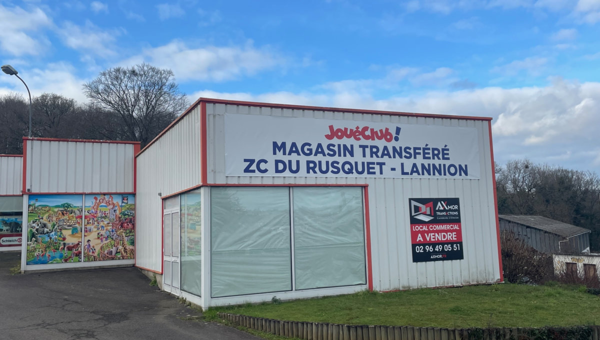 A VENDRE LOCAL D'ACTIVITE 600 m2 Local Commercial Vente